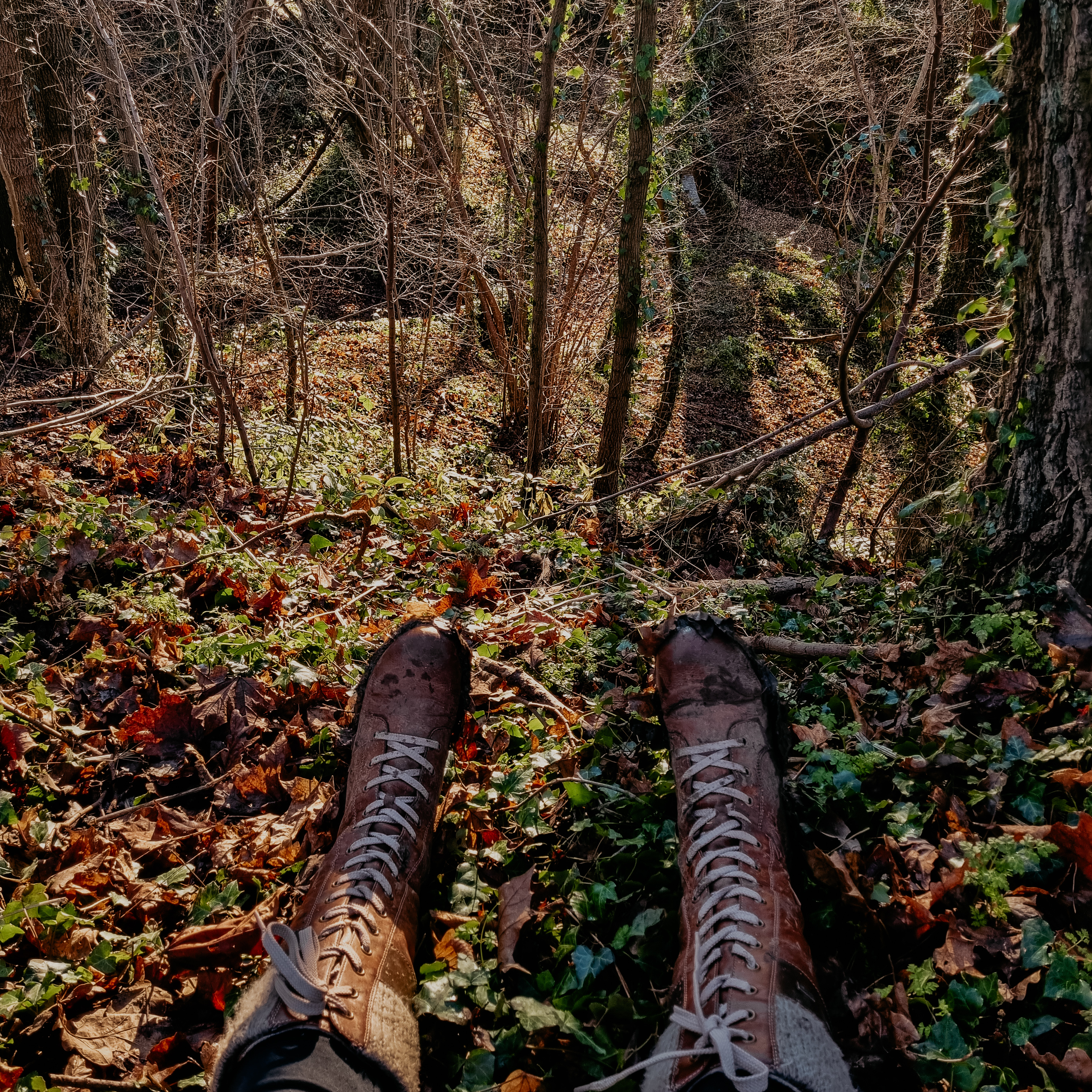 The curation of space