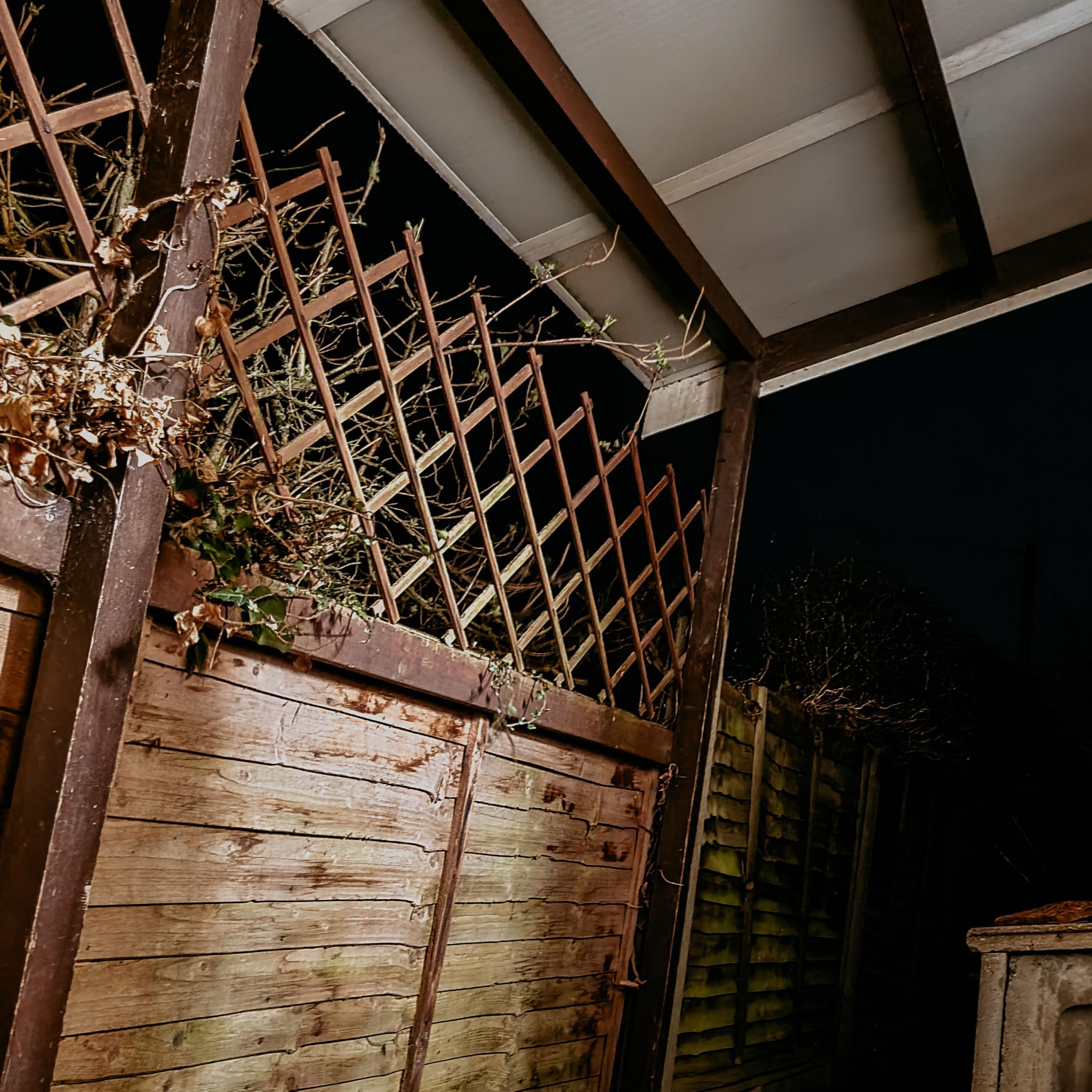 The clever north wind