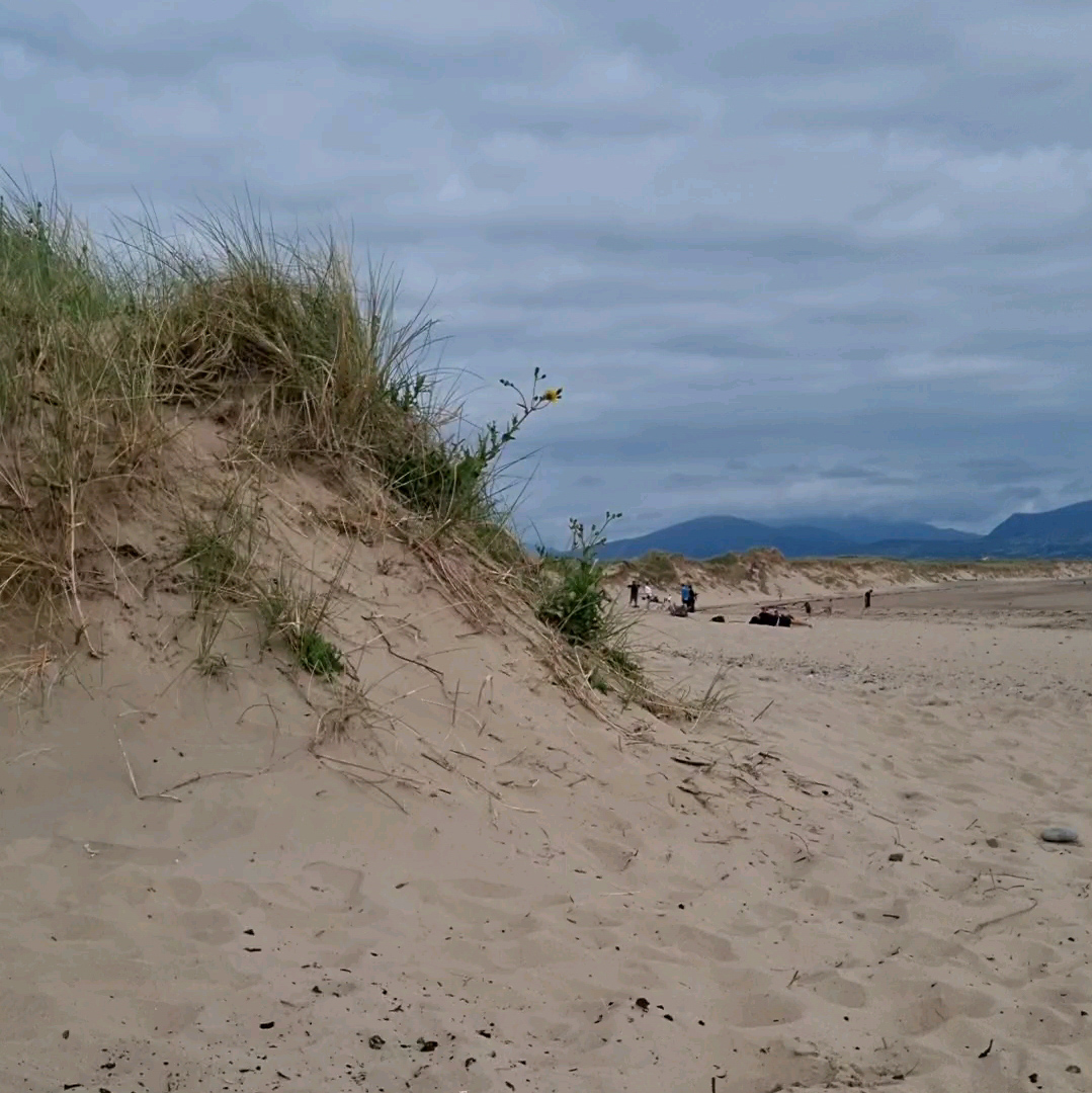 A Picture of the British Seaside