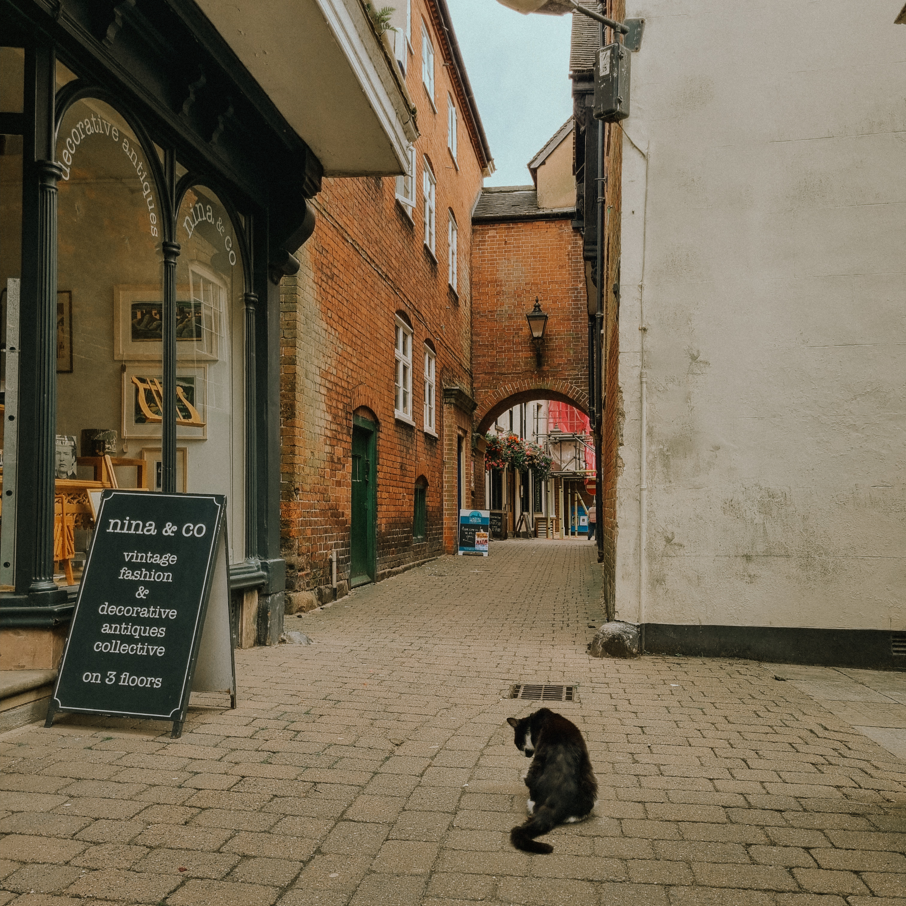 The Wishing Ball – SSS